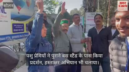 Solan: Animal lovers stage protest near old bus stand, also launch signature campaign