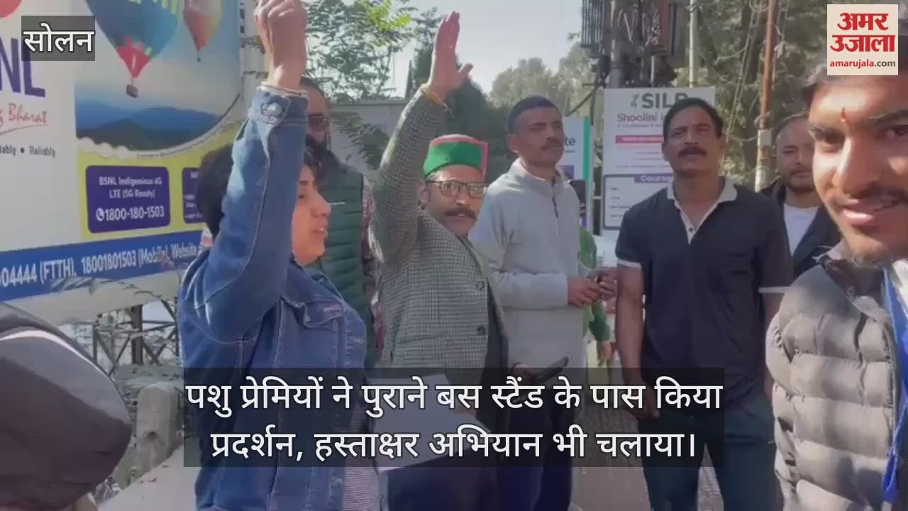 Solan: Animal lovers stage protest near old bus stand, also launch signature campaign