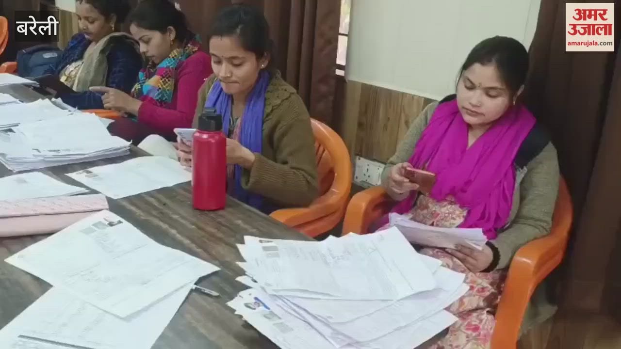 Server issues hinder digitization of SIR calculation forms in Bareilly