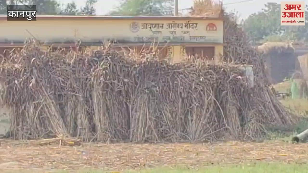 Asenia Health Sub-Centre: No one visits, villagers have taken over