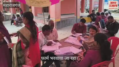 BLOs busy filling SIR forms