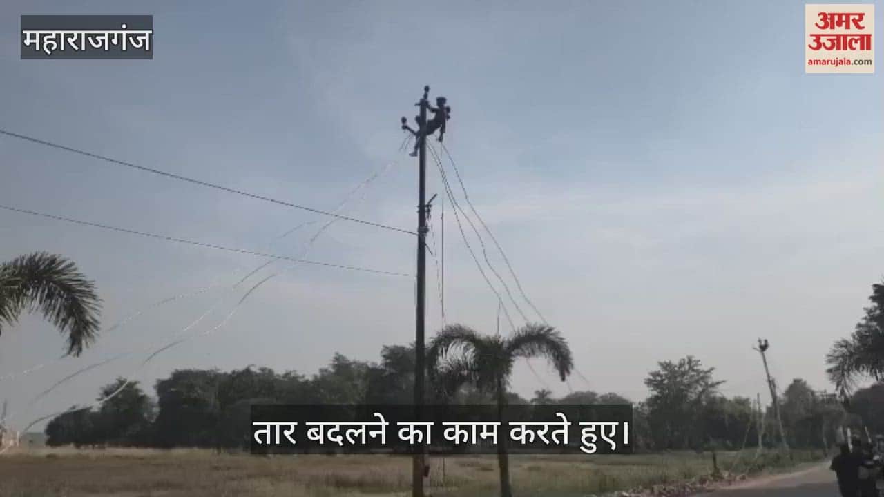 Workers began repairing electrical wires in the Collectorate premises without wearing safety equipment.