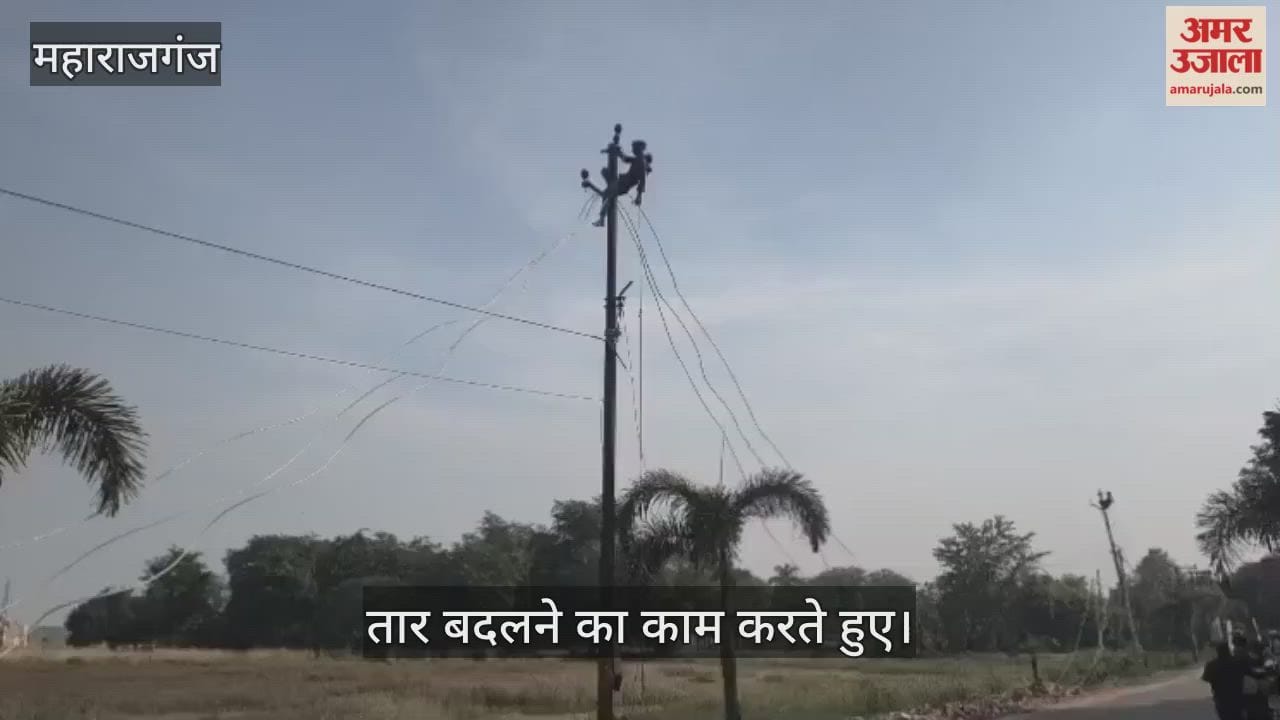 Workers began repairing electrical wires in the Collectorate premises without wearing safety equipment.