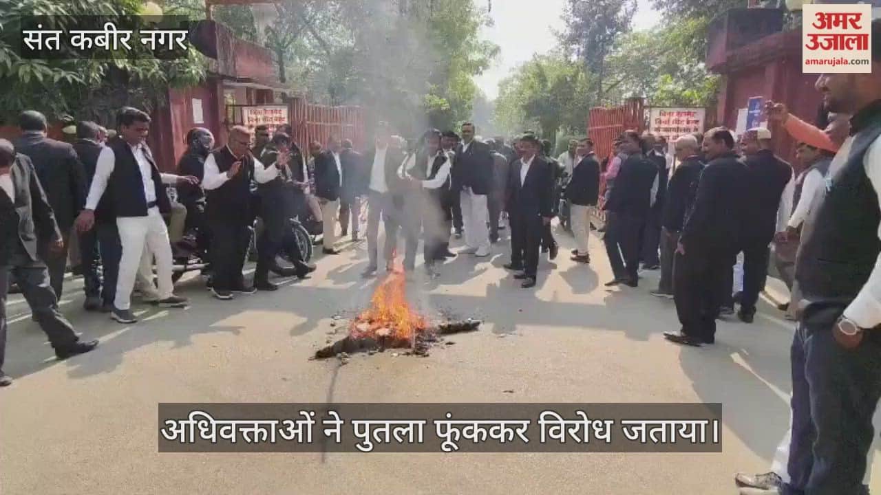 Advocates burnt an effigy to protest against indecent remarks on women.