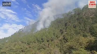 Karnaprayag Fire broke out in the forests of Mouna village, forest departm