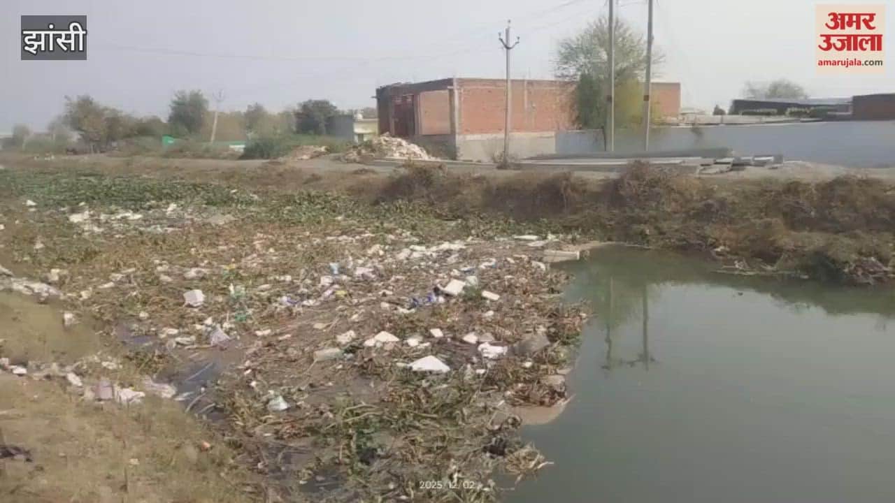 Jhansi: Water released from Saprar dam into canal in Mauranipur without cleaning