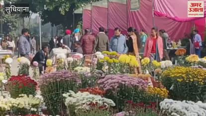 Flower Show at Punjab Agricultural University Ludhiana