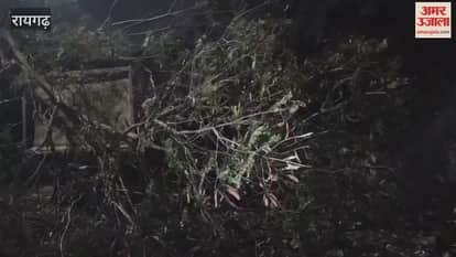 A young man riding a scooter died after being hit by a trailer in Raigarh police took action