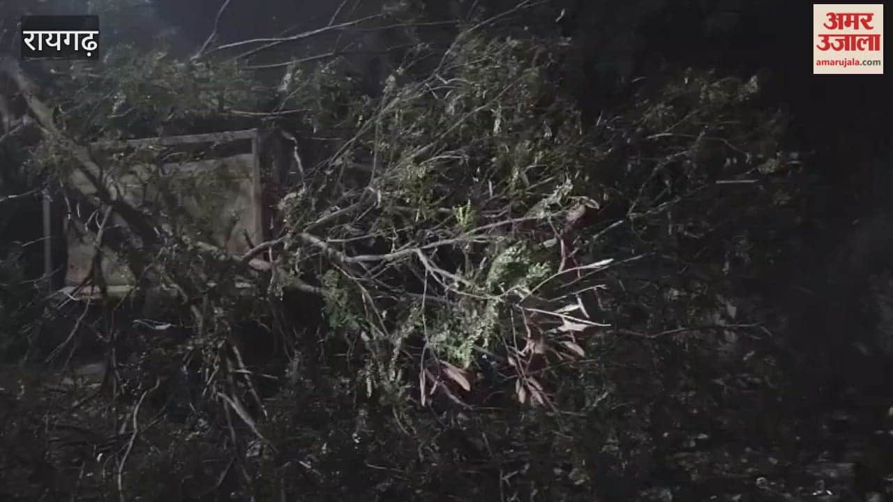 A young man riding a scooter died after being hit by a trailer in Raigarh police took action