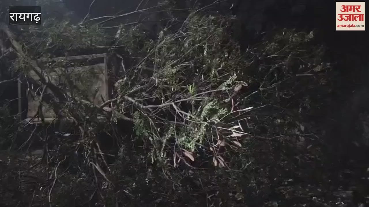 A young man riding a scooter died after being hit by a trailer in Raigarh police took action