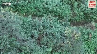 VIDEO: Drones and dog squads are being used in Dewal to search for the torso of a newborn head was found on November 29