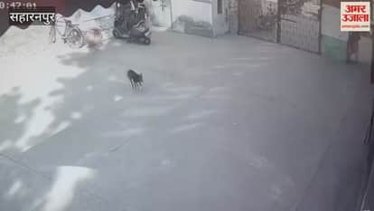 Saharanpur: Youth opens fire at Jain Degree College, students and staff panic