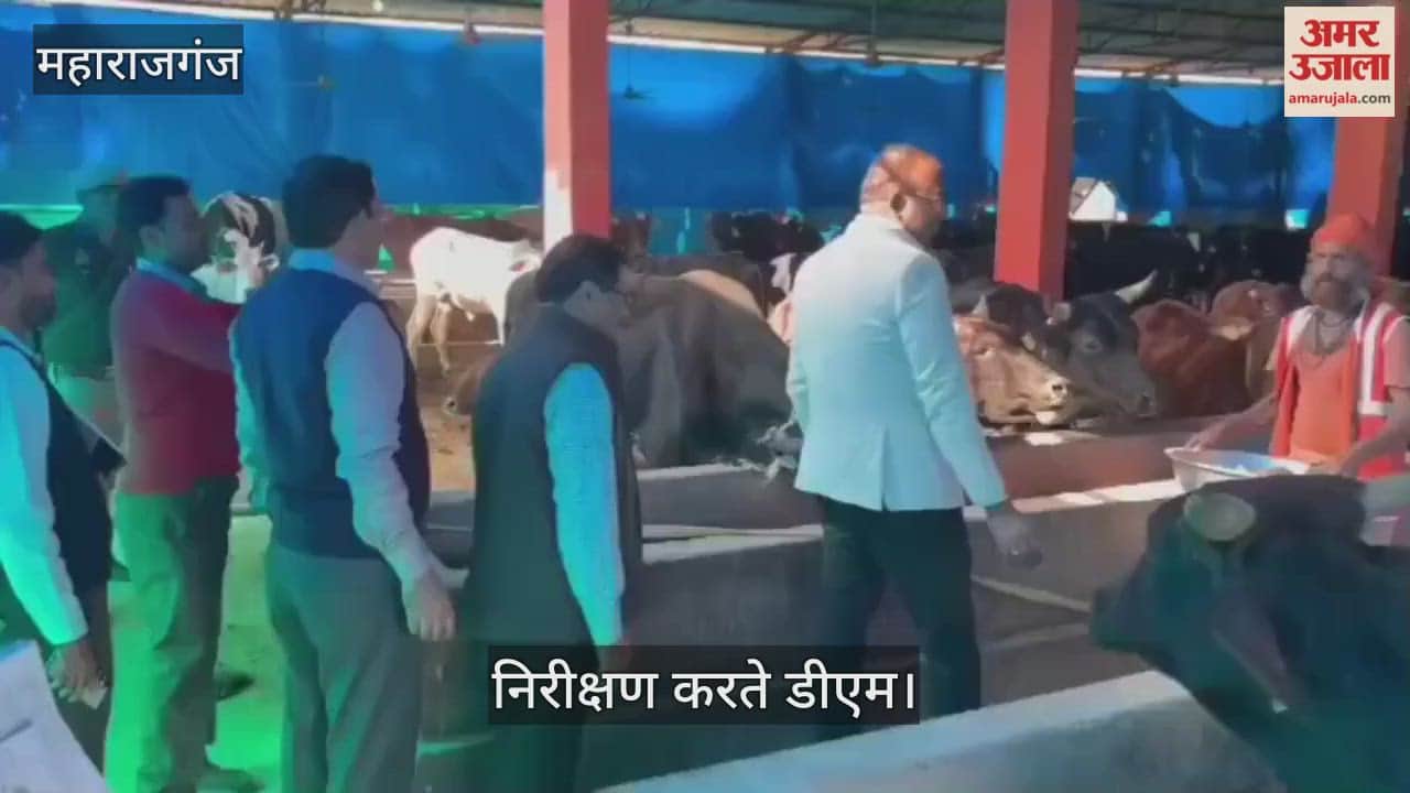 DM took stock of the situation of jaggery distribution in the cowshed and gave instructions.