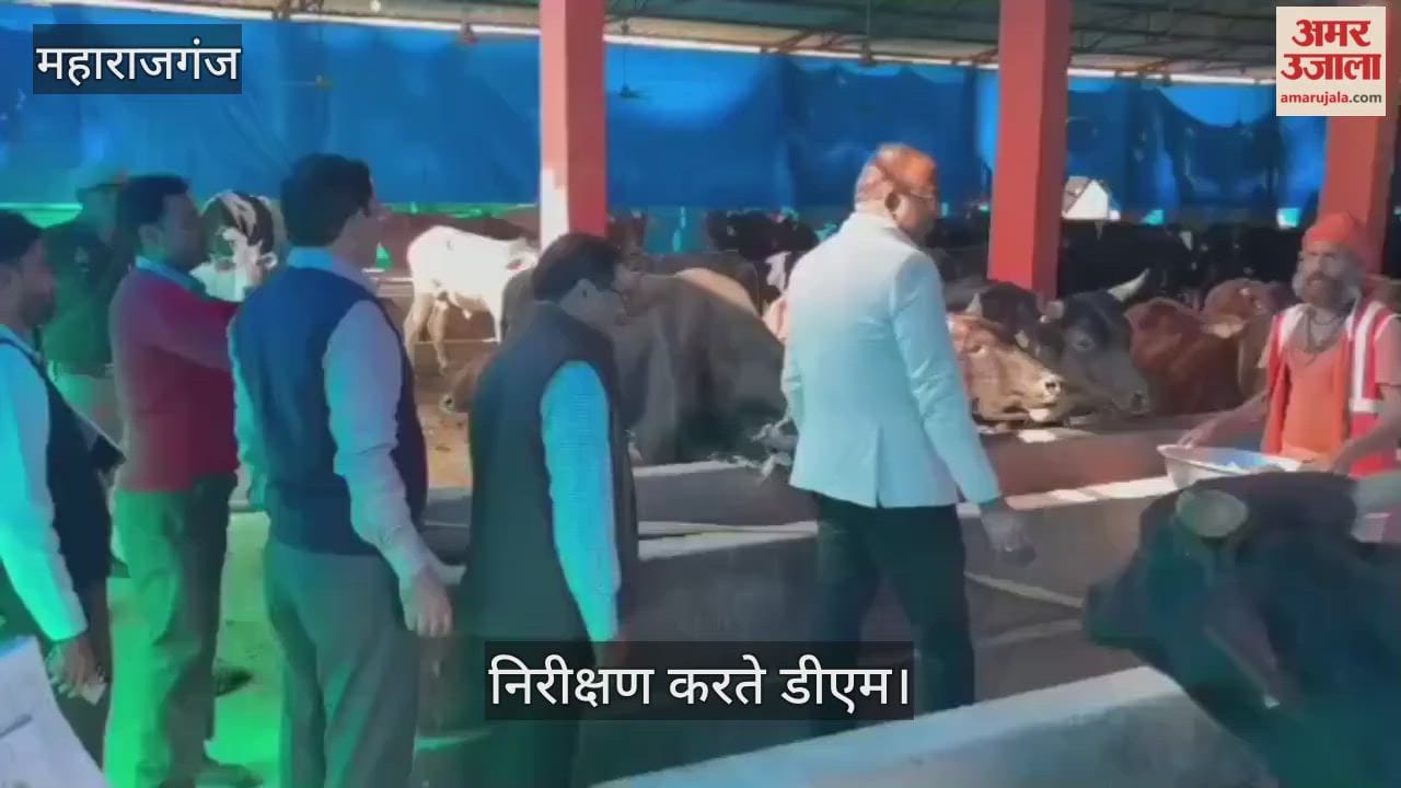 DM took stock of the situation of jaggery distribution in the cowshed and gave instructions.