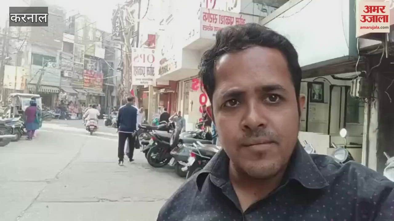 Monkeys have been creating havoc in Karnal's Sarafa market for the past five months