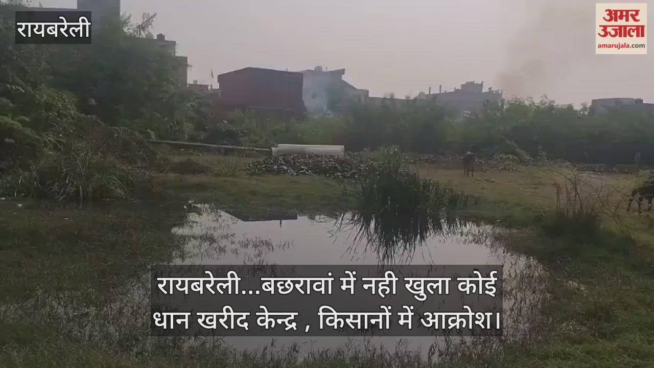 Video : रायबरेली...बछरावां में नही खुला कोई धान खरीद केन्द्र , किसानों में आक्रोश