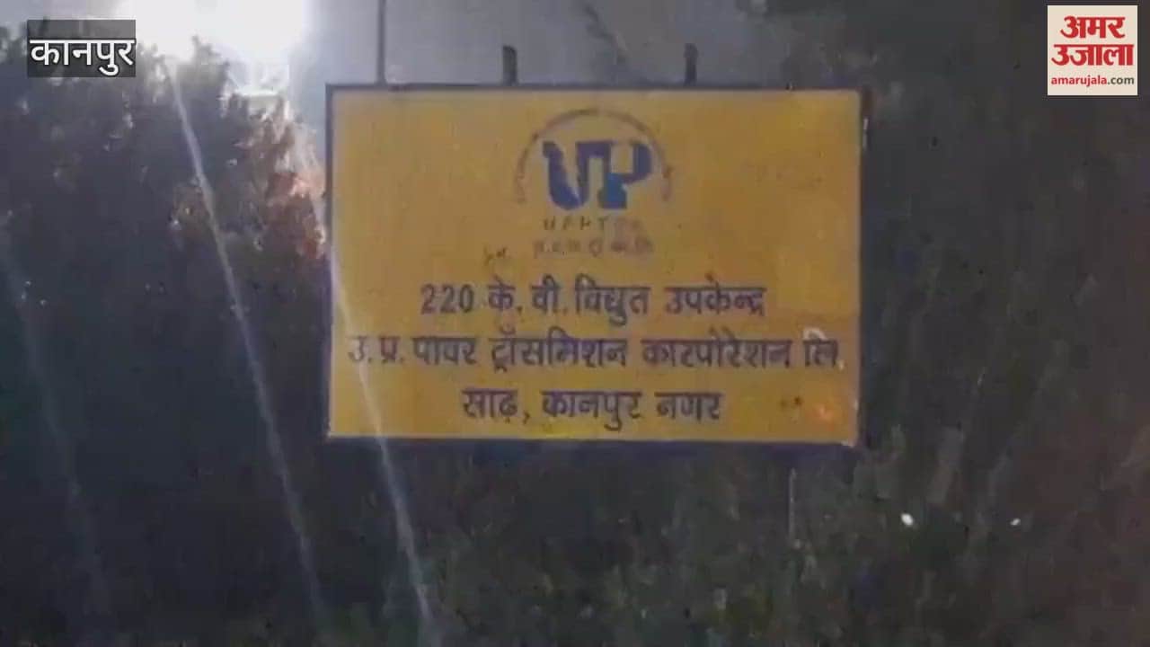 Electricity camp in Bhitargaon tomorrow, 100% interest and up to 25% principal amount rebate on bills