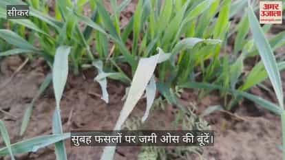 Fog in Sikar reduces visibility to less than 100 meters, cold likely on December 3 and 4.