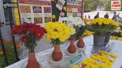 Flower Show at Punjab Agricultural University Ludhiana
