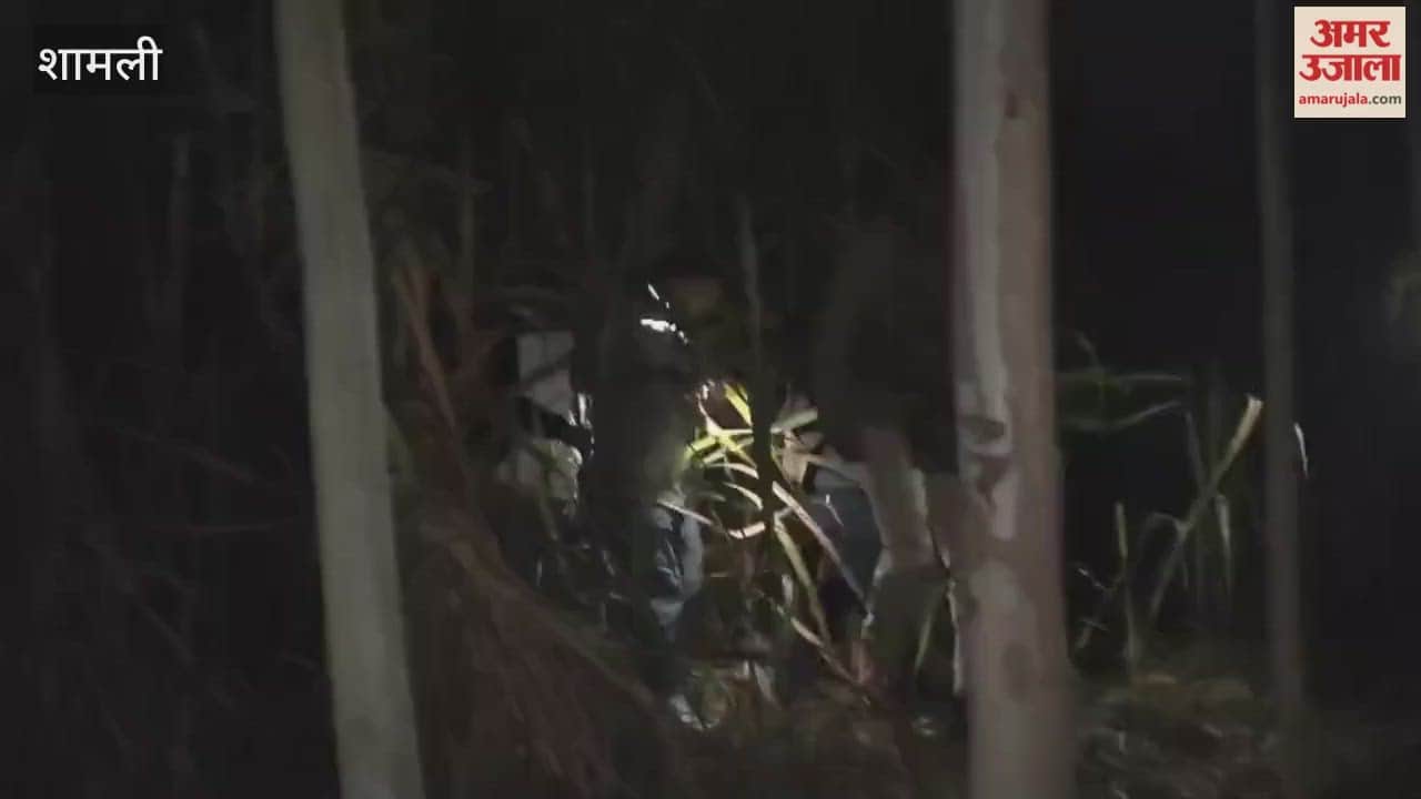 Shamli: Bawariya gang leader, carrying a reward of Rs 1.25 lakh, killed in police encounter