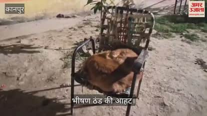 यूपी में कानपुर बना सबसे ठंडा जिला, न्यूनतम तापमान छह डिग्री के करीब