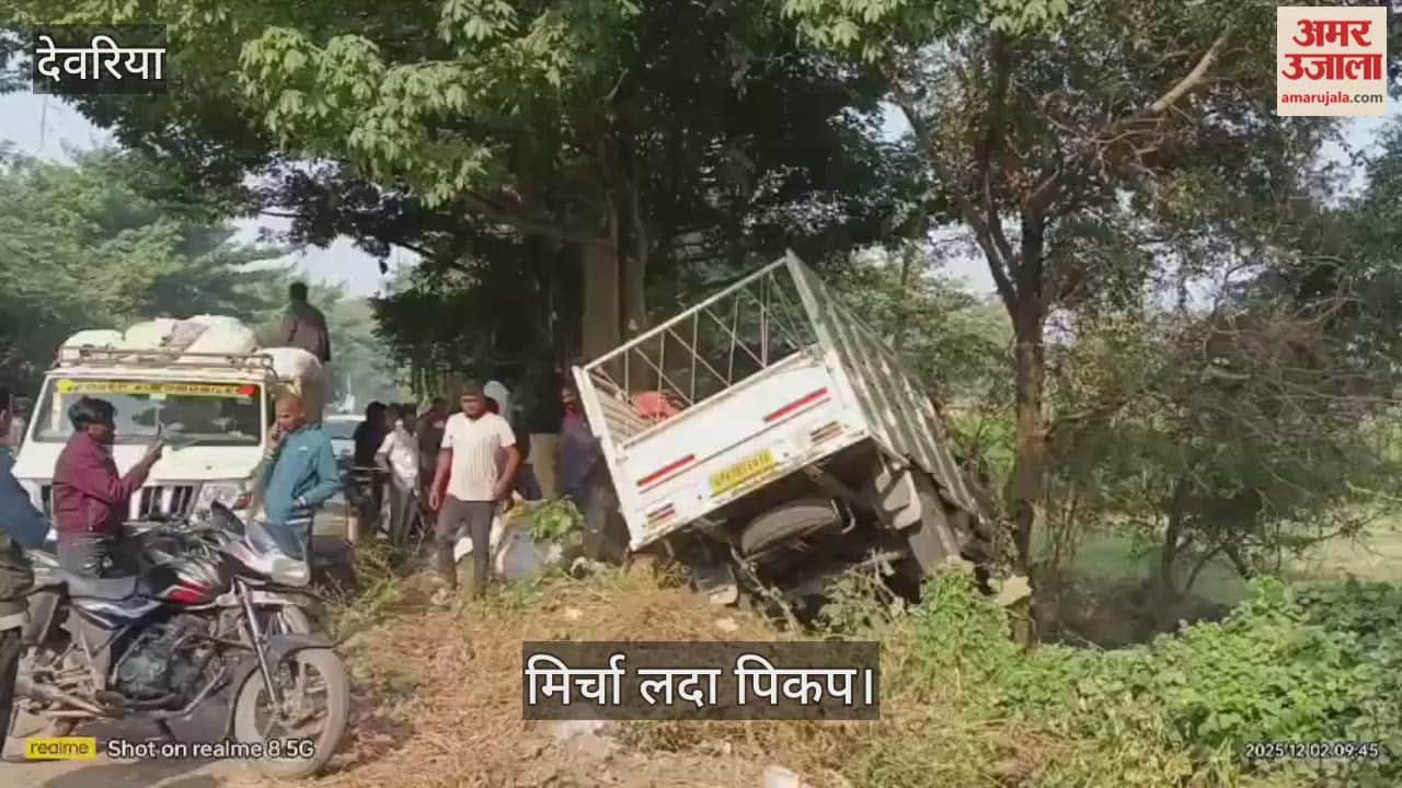 A vehicle loaded with green chillies overturned, the driver fled.