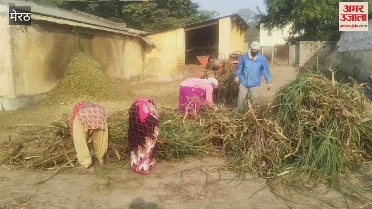 Meerut: Adequate arrangements are being made for cattle in the government livestock and agriculture project, action will be taken against negligence