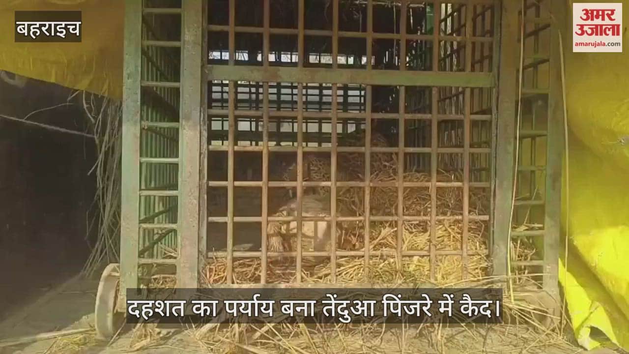 बहराइच में दहशत का पर्याय बना तेंदुआ पिंजरे में कैद, ग्रामीणों ने ली राहत की सांस