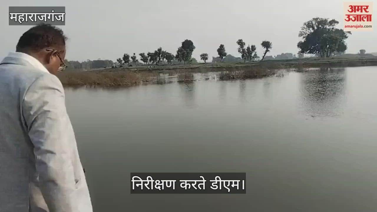 DM inspected Devdah Stupa and tourism projects