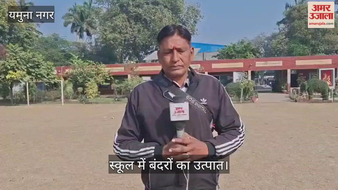 Monkeys create havoc in school