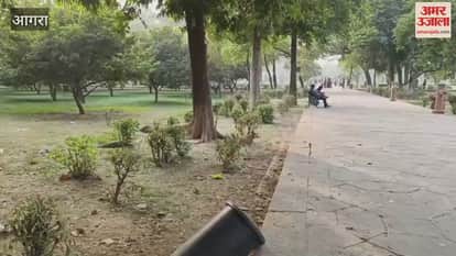 Stray dogs are scaring tourists at Taj Mahal