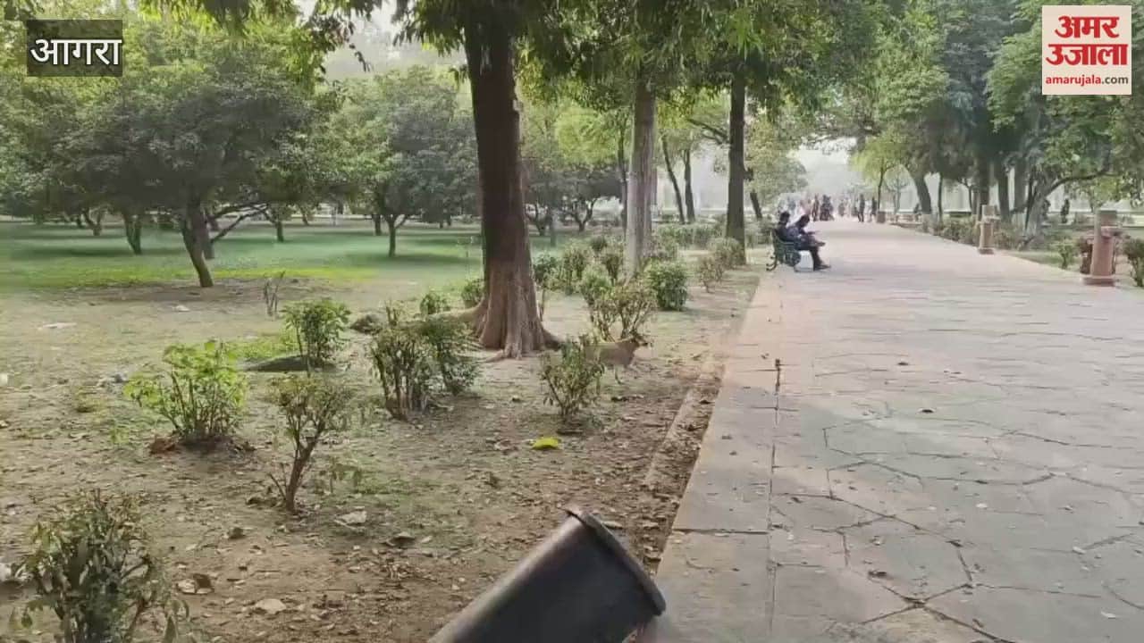 Stray dogs are scaring tourists at Taj Mahal