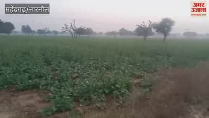 Narnaul's minimum temperature reaches 4.4 degrees Celsius, mercury to fall further