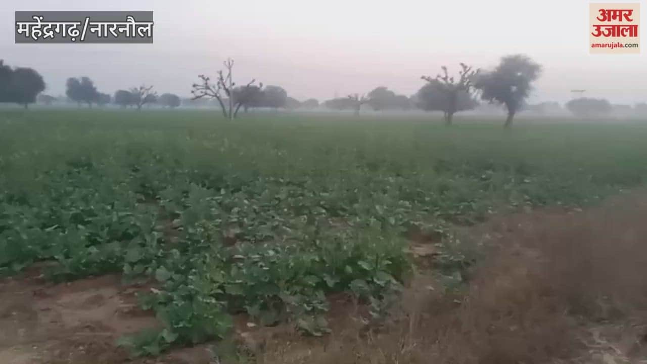 Narnaul's minimum temperature reaches 4.4 degrees Celsius, mercury to fall further