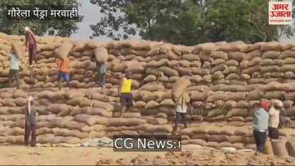 Process of surrendering land for paddy procurement in Gaurela-Pendra-Marwahi is expedited