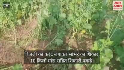 Sambhar hunted by applying electric current, hunter caught with 10 kg meat