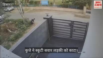 Dog bites girl riding scooter in Hisar