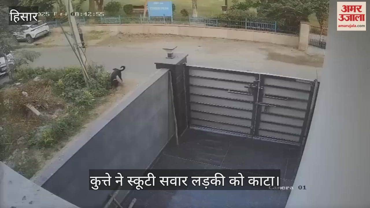 Dog bites girl riding scooter in Hisar