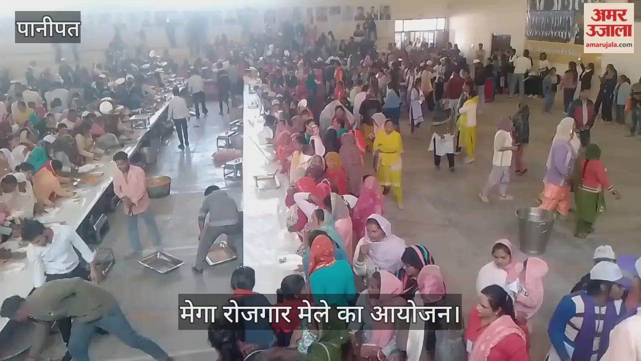 Mega job fair organised