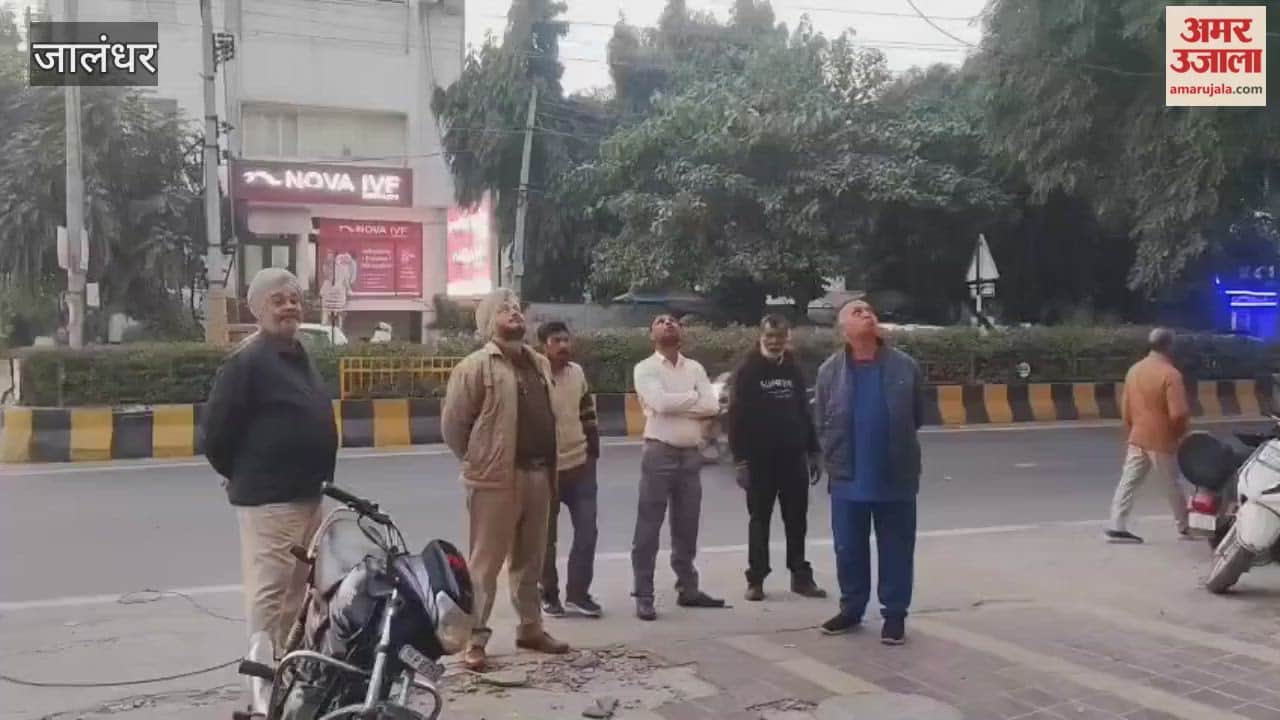 Two workers died after falling from the fifth floor of a painting shop in Jalandhar.