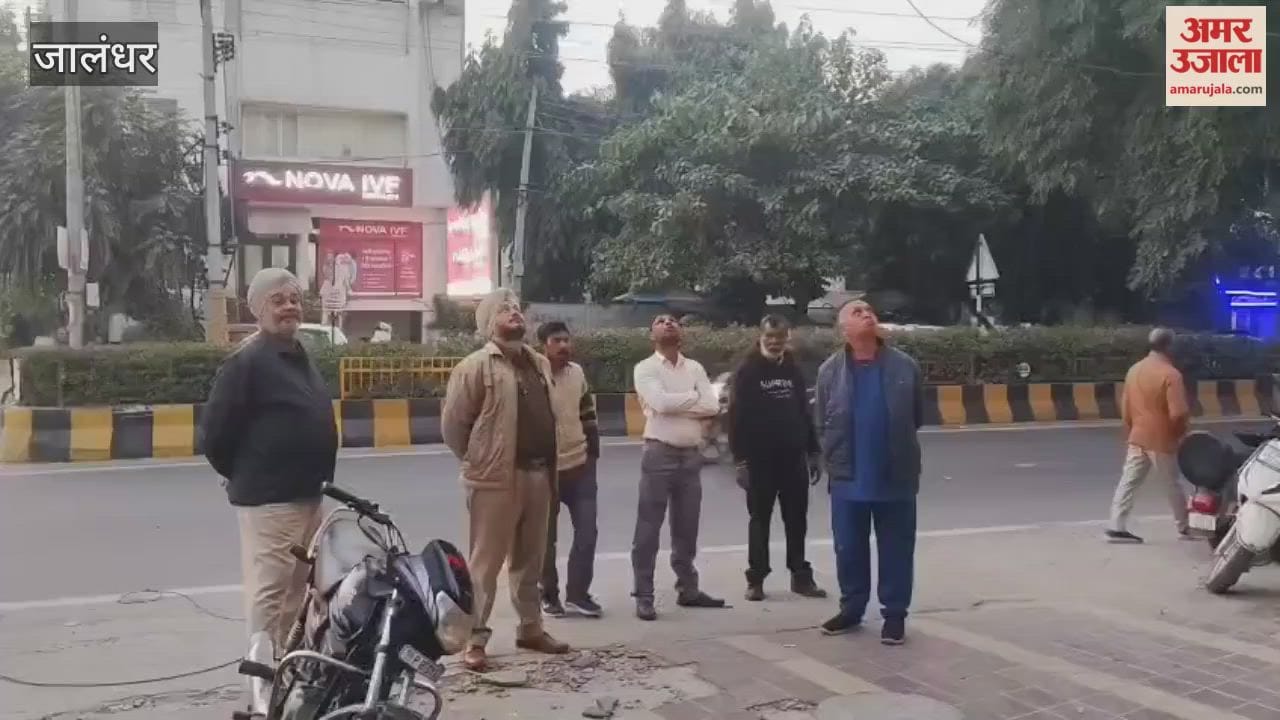 Two workers died after falling from the fifth floor of a painting shop in Jalandhar.