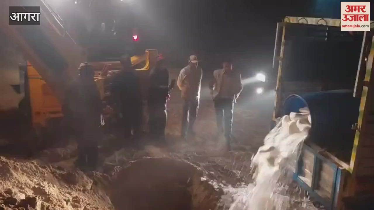 Fake Paneer Seized at Agra Toll Plaza Destroyed After Lab Test Confirms It Unsafe