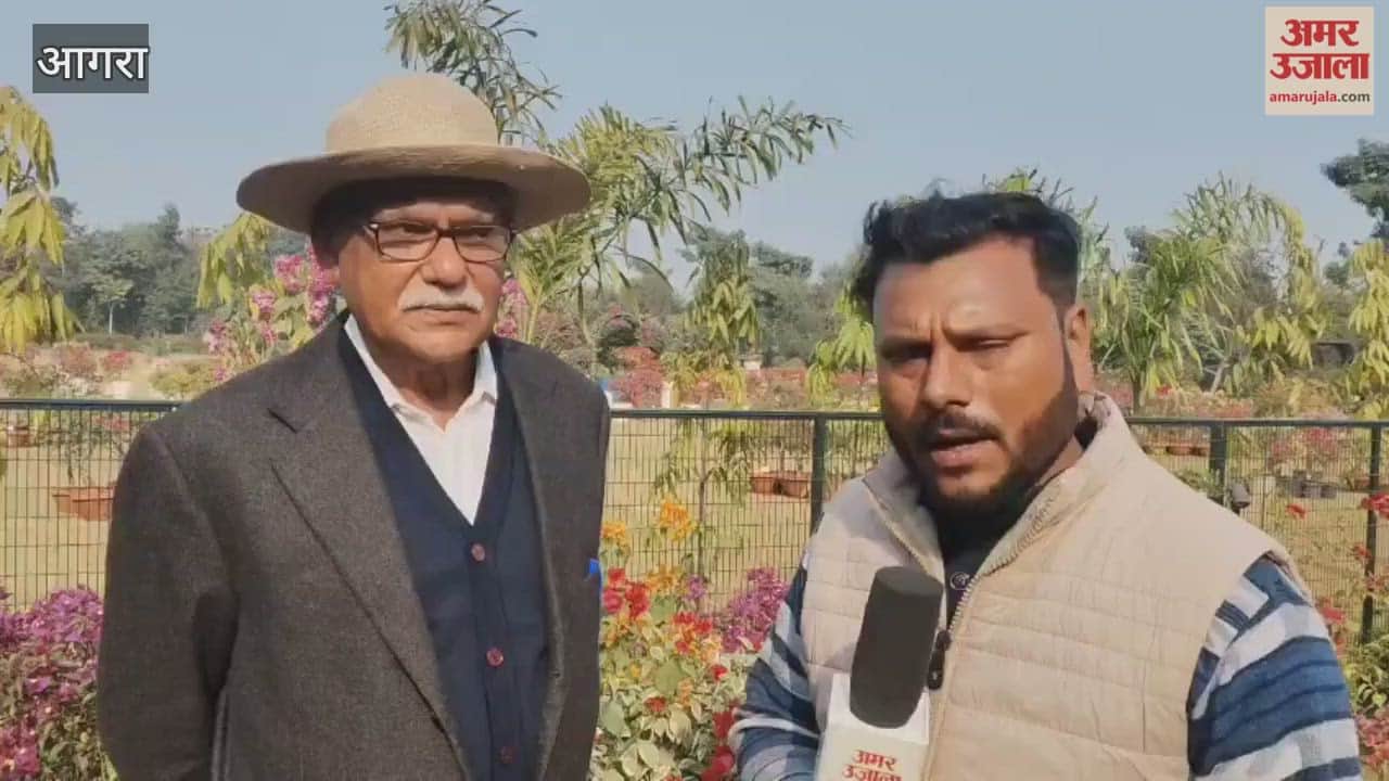 Bougainvillea Varieties on Display in Agra Visual Floral Treat