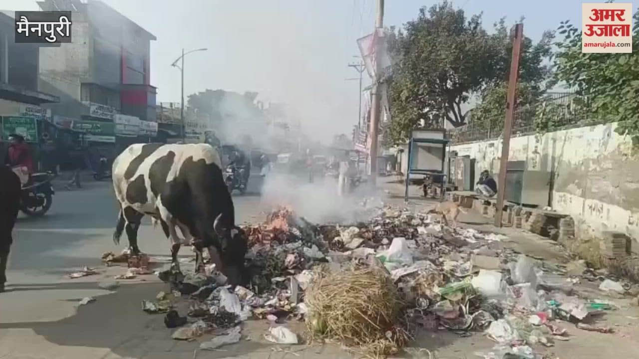 Burning Garbage Clouds the City: Asthma Patients Rising Municipal Officials Silent