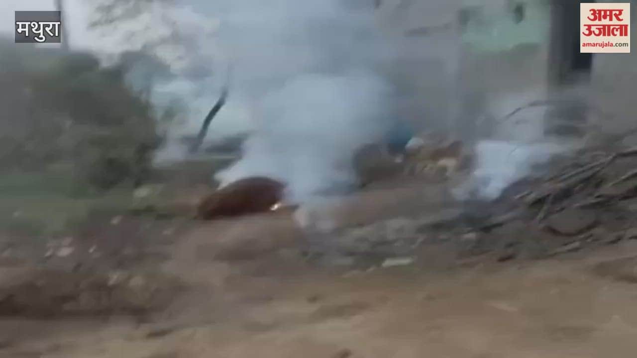 Cow Electrocuted After Power Line Snaps in Bhadravan Village