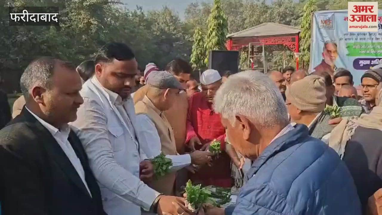 Two lakh saplings were distributed in Trikha Colony in presence of MLA Moolchand Sharma