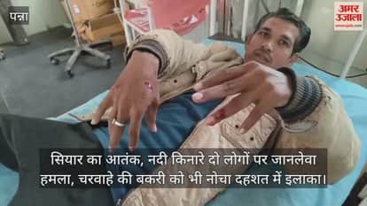 Panna News: Jackal terror, two people attacked in a life-threatening incident near the river.