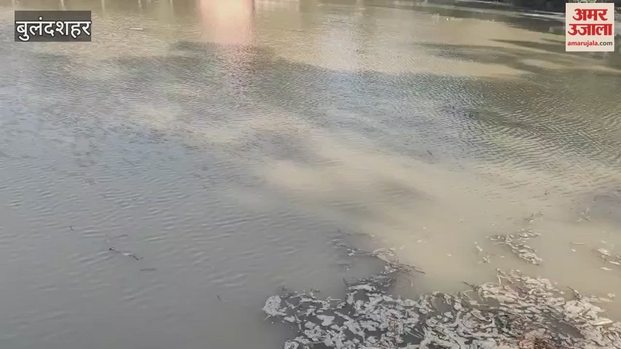 canal overflowed and fields flooded In Bulandshahr Syana
