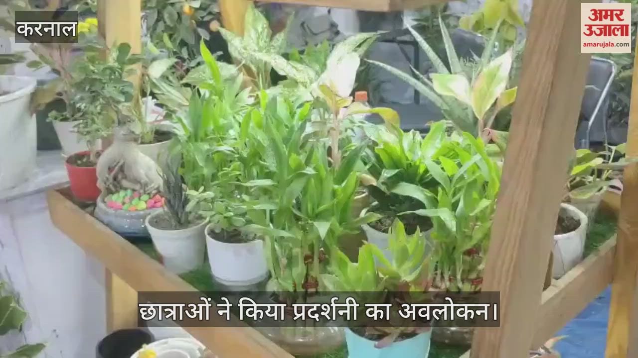 The students visited the exhibition