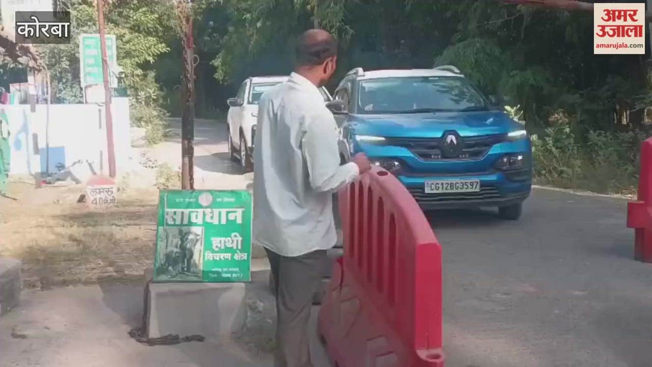 Panic grips Korba as tusked elephants arrive forest department on high alert in elephant roaming areas